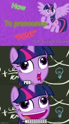 Size: 500x892 | Tagged: safe, edit, edited screencap, screencap, twilight sparkle, alicorn, pony, g4, my little pony best gift ever, bill wurtz, captain obvious, chalkboard, crossing the memes, educational, faic, meme, pudding face, starlight says bravo, style emulation, twilight sparkle (alicorn)