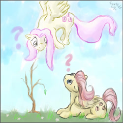 Size: 605x606 | Tagged: safe, artist:furball891, fluttershy, pegasus, pony, g4, butterscotch, duality, duo, female, flying, folded wings, looking at each other, looking at someone, looking down, looking up, lying down, mare, prone, question mark, r63 paradox, rule 63, self paradox, spread wings, wings