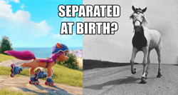 Size: 1122x598 | Tagged: safe, edit, edited screencap, editor:wild stallions, screencap, sunny starscout, horse, pony, g5, my little pony: a new generation, 3d, comparison, female, irl, irl horse, jimmy the roller skating horse, male, mare, photo, roller skates, separated at birth, stallion