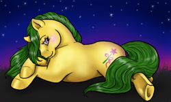 Size: 900x540 | Tagged: safe, artist:whippetluv, magic star, earth pony, pony, g1, female, looking at you, night