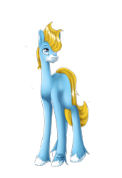 Size: 3423x5000 | Tagged: safe, artist:fantisai, oc, oc only, earth pony, pony, earth pony oc, hair over one eye, simple background, solo, transparent background, unshorn fetlocks