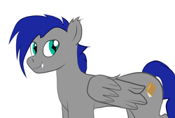 Size: 2039x1378 | Tagged: safe, artist:tranzmuteproductions, oc, oc only, pegasus, pony, blue mane, ear fluff, ear tufts, fangs, folded wings, male, pegasus oc, simple background, slit pupils, smiling, solo, stallion, teal eyes, white background, wings