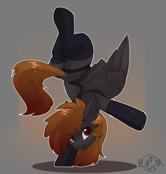 Size: 1557x1631 | Tagged: safe, artist:beardie, oc, oc only, pegasus, pony, blushing, bondage harness, clothes, commission, cute, eye clipping through hair, handstand, harness, looking at you, socks, solo, standing, standing on one leg, tack, upside down