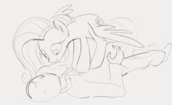 Size: 1104x674 | Tagged: safe, artist:dotkwa, fluttershy, oc, oc:anon, human, pegasus, pony, g4, duo, female, female on top, gray background, grayscale, looking at each other, looking down, male, mare, mare on top, monochrome, on top, pinned, simple background, sketch, spread wings, sweat, sweatdrop, wings