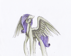 Size: 1140x898 | Tagged: safe, artist:penrosa, oc, oc only, pegasus, pony, pegasus oc, simple background, solo, traditional art, white background, wings