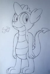Size: 650x960 | Tagged: safe, artist:milledpurple, spike, dragon, g4, lineart, male, smiling, solo, traditional art