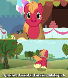 Size: 1280x1457 | Tagged: safe, edit, edited screencap, screencap, big macintosh, earth pony, pony, g4, no second prances, the last problem, caption, horse collar, image macro, male, meme, solo, stallion, template, text