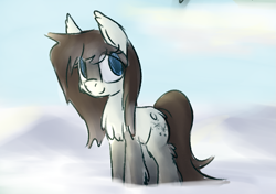 Size: 835x587 | Tagged: safe, artist:anonymous, oc, oc only, oc:frosty flakes, pony, yakutian horse, chest fluff, ear fluff, ears, female, fluffy, looking at something, mare, outdoors, snow, snow mare, solo