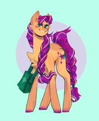 Size: 1080x1320 | Tagged: safe, artist:wippitywarpy, sunny starscout, earth pony, pony, g5, bag, female, mare, satchel, solo, twilight sparkle's cutie mark