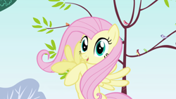 Size: 1920x1080 | Tagged: safe, screencap, fluttershy, bird, pegasus, pony, friendship is magic, g4, season 1, female, implied flutterspike, implied shipping, implied straight, mare, open mouth, outdoors, raised hoof, smiling, solo, songbird, tree
