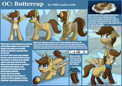 Size: 4096x2894 | Tagged: safe, artist:playful wings, oc, oc:buttercup, pegasus, pony, reference sheet, sleeping, solo
