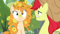 Size: 640x360 | Tagged: safe, screencap, bright mac, pear butter, earth pony, pony, g4, season 7, the perfect pear, animated, cute, daaaaaaaaaaaw, flower, flower in hair, flowers everywhere, gif, gifs.com, laughing, pearabetes