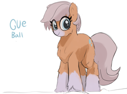 Size: 2176x1608 | Tagged: safe, artist:anonymous, oc, oc only, oc:cue ball, pony, yakutian horse, chest fluff, ear fluff, ears, female, fluffy, looking at something, mare, snow mare, solo