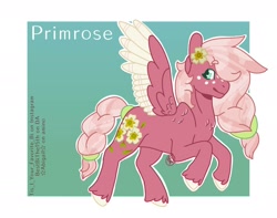 Size: 1900x1500 | Tagged: safe, artist:bestbithe15th, oc, oc only, oc:primrose, pegasus, pony, colored wings, colored wingtips, female, flower, flower in hair, freckles, hair over one eye, mare, offspring, parent:big macintosh, parent:fluttershy, parents:fluttermac, solo, unshorn fetlocks