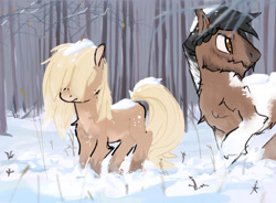 Size: 2737x2015 | Tagged: safe, artist:rirurirue, oc, oc only, oc:avalanche, pony, yakutian horse, female, forest, hair over eyes, high res, male, mare, snow, snow mare, stallion
