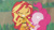 Size: 3410x1920 | Tagged: safe, screencap, pinkie pie, sunset shimmer, equestria girls, g4, my little pony equestria girls: better together, unsolved selfie mysteries, bare shoulders, belly button, clothes, eyes closed, female, geode of empathy, geode of sugar bombs, grin, high res, jewelry, magical geodes, necklace, nose in the air, one-piece swimsuit, pinkie pie swimsuit, sarong, sleeveless, smiling, sunset shimmer's beach shorts swimsuit, swimsuit