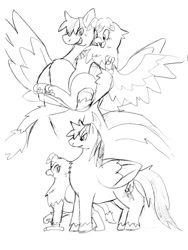 Size: 600x800 | Tagged: safe, artist:kushina13, oc, oc only, oc:ashina, griffon, pegasus, pony, blushing, bridal carry, carrying, chest fluff, female, folded wings, grayscale, grin, larger male, leonine tail, male, monochrome, open mouth, open smile, paw pads, size difference, smaller female, smiling, spread wings, stallion, tail, unshorn fetlocks, wings
