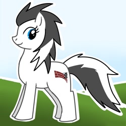 Size: 600x600 | Tagged: safe, artist:kushina13, oc, oc only, earth pony, pony, female, looking back, mare, smiling, solo, tail