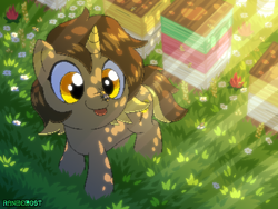 Size: 800x600 | Tagged: safe, artist:rangelost, oc, oc only, oc:honeydipper, insect, pony, unicorn, crepuscular rays, flower, grass, insect on nose, solo