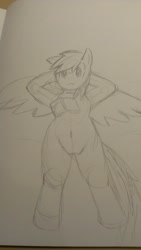 Size: 722x1280 | Tagged: safe, artist:kushina13, rainbow dash, pegasus, pony, g4, arm behind head, belly button, book, female, lying down, mare, on back, solo, spread wings, traditional art, wings, wip