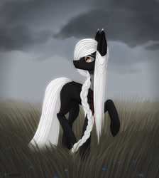 Size: 1280x1428 | Tagged: safe, artist:ajaxorsomething, oc, oc only, earth pony, pony, black coat, braid, cloud, cloudy, female, grass, long mane, looking back, mare, solo, white hair