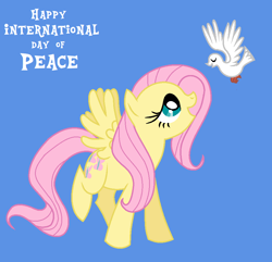 Size: 936x904 | Tagged: safe, artist:babyish and proud, artist:lauren faust, fluttershy, bird, dove, g4, blue background, dove of peace, peace, simple background, trace, u.n. international day of peace, united nations