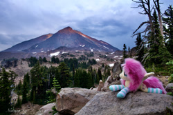 Size: 2300x1534 | Tagged: safe, artist:natureshy, fluttershy, pony, g4, clothes, irl, mount adams, photo, plushie, socks, solo, striped socks