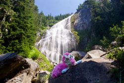Size: 2300x1534 | Tagged: safe, artist:natureshy, fluttershy, pony, g4, clothes, irl, photo, plushie, socks, solo, spray falls, striped socks, waterfall