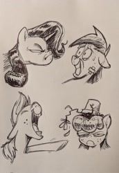 Size: 1407x2048 | Tagged: safe, artist:mellodillo, apple bloom, applejack, rainbow dash, rarity, earth pony, pegasus, pony, unicorn, g4, bust, faic, female, filly, flower pot, grin, laughing, mare, nervous, nervous smile, sketch, smiling, traditional art