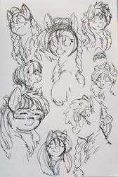 Size: 1897x2820 | Tagged: safe, artist:snspony, pony, yakutian horse, braid, doodles, smiling, snow goggles, traditional art