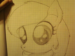 Size: 640x480 | Tagged: safe, artist:zombietator, oc, oc only, oc:claire, earth pony, pony, bust, earth pony oc, eyelashes, female, graph paper, lineart, mare, solo, traditional art