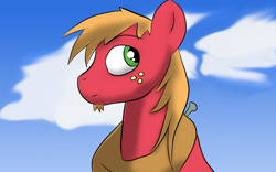 Size: 1440x900 | Tagged: safe, artist:tranzmuteproductions, big macintosh, earth pony, pony, g4, bust, cloud, freckles, horse collar, male, outdoors, solo, stallion