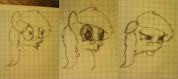 Size: 1437x640 | Tagged: safe, artist:zombietator, oc, oc only, oc:claire, earth pony, pony, angry, bust, earth pony oc, expressions, female, glasses, mare, smiling, traditional art, wide eyes