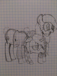 Size: 750x1000 | Tagged: safe, artist:zombietator, oc, oc only, oc:claire, pony, clothes, duo, female, glasses, graph paper, harry potter (series), lineart, male, mare, scarf, smiling, stallion, tired, traditional art