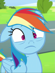 Size: 423x564 | Tagged: safe, screencap, rainbow dash, pegasus, pony, g4, newbie dash, season 6, cropped, feathered wings, female, folded wings, frazzled, mare, messy mane, one ear down, rainbow dash is best facemaker, shrunken pupils, solo, wings