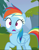 Size: 435x564 | Tagged: safe, screencap, rainbow dash, pegasus, pony, g4, newbie dash, bandage, cropped, shocked, solo