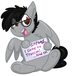 Size: 1996x2108 | Tagged: safe, artist:lbrcloud, oc, oc only, oc:moon ray, pegasus, pony, trotcon, trotcon online, anyway come to trotcon, glasses, male, pegasus oc, sign, simple background, smiling, solo, transparent background, wings