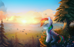 Size: 5000x3167 | Tagged: safe, artist:atlas-66, edit, rainbow dash, pegasus, pony, g4, canterlot, cliff, cloud, cute, dashabetes, eyes closed, female, forest, high res, mare, outdoors, profile, scenery, scenery porn, side view, sitting, smiling, solo, sun, tree