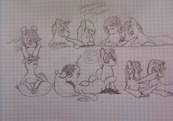 Size: 1280x901 | Tagged: safe, artist:zombietator, oc, oc only, oc:claire, pegasus, pony, unicorn, female, graph paper, group, horn, lineart, male, mare, pegasus oc, pillow, smiling, stallion, traditional art, unicorn oc, wings
