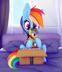 Size: 1215x1398 | Tagged: safe, artist:omi, daring do, rainbow dash, pegasus, pony, g4, amazon, bed, bedroom, box, curtains, female, hoof hold, mare, package, packing peanuts, pillow, plushie, solo, unboxing, window