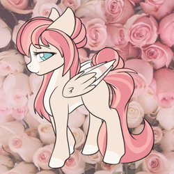 Size: 2000x2000 | Tagged: safe, artist:billysan727, oc, oc only, oc:naussica rose, pegasus, pony, blue eyes, coat markings, colored pupils, colored wings, colored wingtips, elegant, eyebrows, eyebrows visible through hair, eyelashes, flower, fluffy, folded wings, hair bun, high res, lidded eyes, long tail, looking at you, multicolored mane, multicolored tail, pale belly, pegasus oc, real life background, rose, side view, smiling, smiling at you, socks (coat markings), solo, tail, tail bun, two toned wings, wing fluff, wings