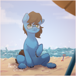 Size: 2000x2000 | Tagged: safe, artist:prostiechisla, oc, oc only, oc:daudaen, pony, beach, glasses, high res, male, ocean, sand, solo