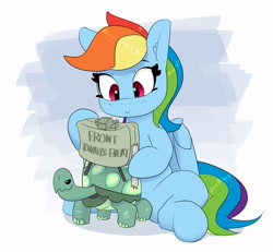 Size: 2735x2526 | Tagged: safe, artist:pabbley, rainbow dash, tank, pegasus, pony, tortoise, g4, abuse, animal abuse, claymore mine, female, high res, male, mare, mine turtle, tape, this will end in death, this will end in explosions, this will end in tears, weapon