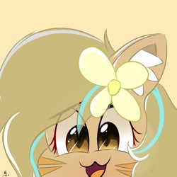 Size: 1000x1000 | Tagged: safe, artist:grithcourage, oc, oc only, oc:grith courage, cat, earth pony, pony, adorable face, cheering, cute, ear fluff, flower, flower in hair, happy, simple, simple background, solo