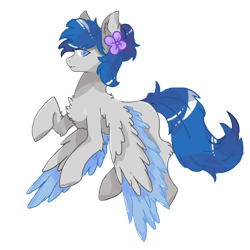 Size: 800x800 | Tagged: safe, artist:lxran4, oc, oc:zephyrpony, pegasus, pony