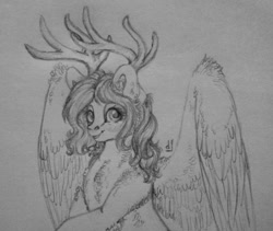 Size: 1134x959 | Tagged: safe, artist:skior, oc, oc:devotee, pegasus, pony, antlers, female, mare, monochrome, solo, traditional art