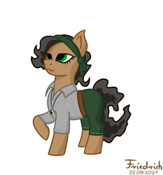 Size: 1280x1372 | Tagged: safe, artist:friedrich911, oc, oc only, earth pony, pony, clothes, female, jewelry, mare, necklace, raised hoof, solo