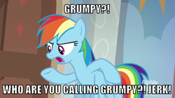 Size: 1066x600 | Tagged: safe, edit, edited screencap, editor:twi clown, screencap, rainbow dash, pegasus, pony, g4, season 8, the hearth's warming club, caption, female, grumpy, image macro, mare, solo, text