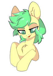 Size: 1280x1825 | Tagged: safe, artist:lazycloud, oc, oc only, earth pony, pony, bust, chest fluff, female, mare, portrait, simple background, solo, transparent background