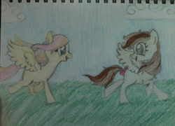 Size: 999x719 | Tagged: safe, alternate version, artist:zombietator, oc, oc only, pegasus, pony, duo, eyelashes, female, looking back, mare, pegasus oc, running, smiling, traditional art, wings